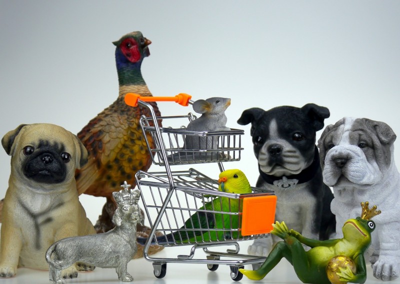 állatok kutya shopping vásárlás