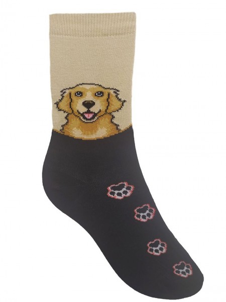 Golden Retriever kutya mintás zokni