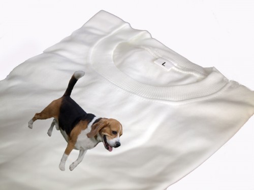 Póló beagle képpel