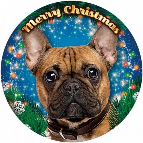 Francia bulldog mintás világító karácsonyi ablakdísz