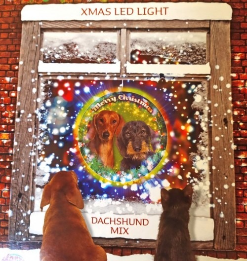 Tacskó kutya mintás világító karácsonyi ablakdísz