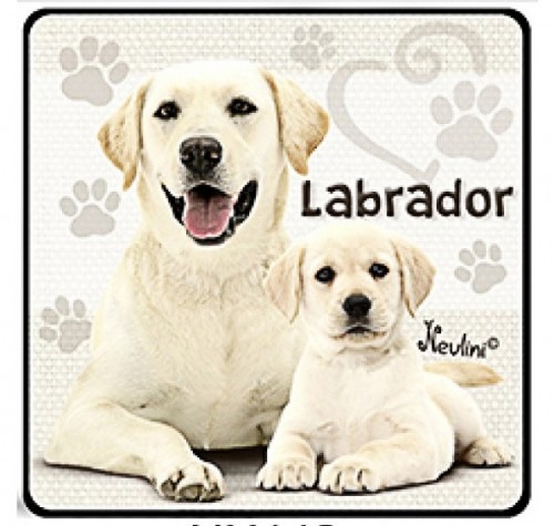 Labrador kutyás hűtőmágnes