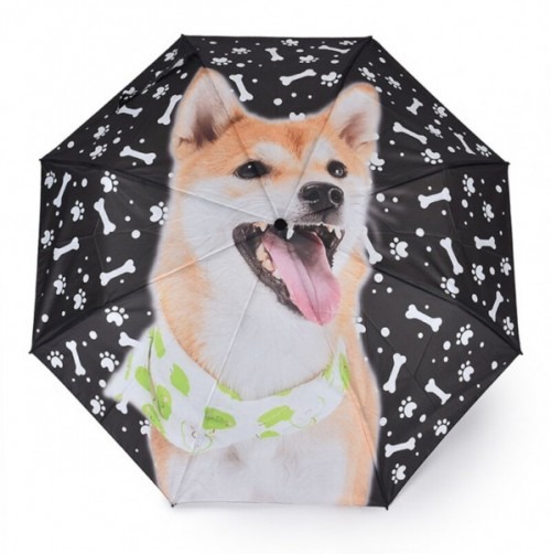 Shiba Inu kutyás esernyő