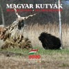 Kutyás naptár 2020 - Magyar Kutyafajták