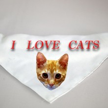 Kutya kendő "I love Cats" felirattal 
