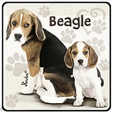 Beagle kutyás hűtőmágnes 